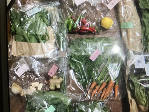 【お買い得☆旬の野菜セット（10品〜13品目）】新鮮お野菜🌿🫛🧅農薬、除草剤、化学肥料等、一切不使用☆ゆうパック🏣80サイズにたっぷりお入れいたします☆