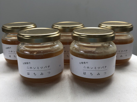 《2本セット》山梨県の日本みつばちのハチミツ
