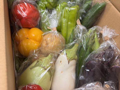 Mサイズ ＊旬野菜セット(約8~9品)【農薬：栽培期間中不使用】