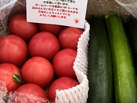 トマトと規格外ズッキーニセット　約1.5㎏