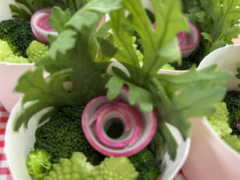 カラダよろこぶ‼︎　野菜セット