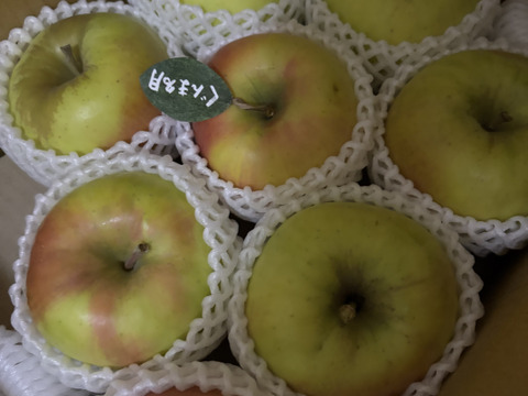 【冬ギフト】🍎『希少！』ぐんま名月🍎約3キロ8〜11玉(家庭用)ID177902