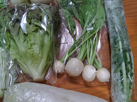 👑2年連続アワード受賞👑【未来をつくる笑み野菜】宮崎県産☆季節のお野菜セットM(8～9品程度)☆