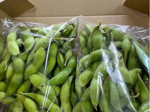 富貴を食べれるのは今だけ‼️丹波産枝豆❗️1kg入