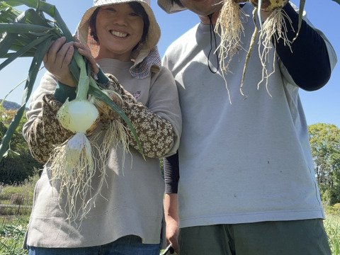 トロあま新玉ねぎ【農薬化学肥料不使用】とっても甘い5キロ15個以上