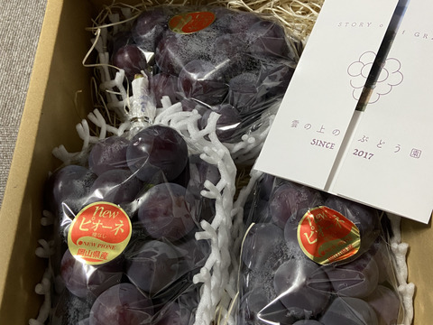 ピオーネ2kg（岡山県産・種なし）
