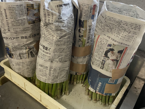水の都 熊本の渓谷育ち｜甘み溢れる「極太」アスパラガス 500g
