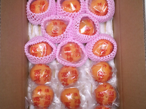 冷蔵柿（富有柿）3箱×17個入り 『小玉！』Sサイズ 　福岡県久留米市田主丸町産