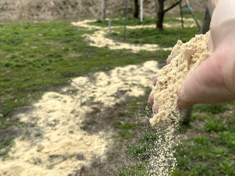 パリパリ食感のワッサー（北信濃産）　桃🍑とネクタリンの良いとこどり　2kg前後（8個〜11個）
⭐︎木採りは終盤となりました。お早めにどうぞ。