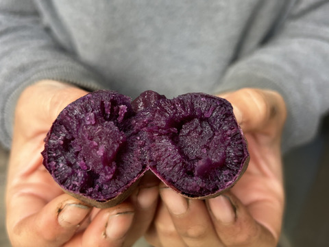 オーガニックさつまいも【紫芋の中で最高糖度】（3kg）ふくむらさき