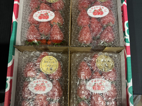 【いちごグランプリ2024最高金賞】新鮮完熟やよいひめ（約275g×4P）