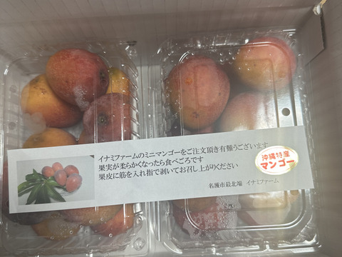 【10%off】沖縄県産 ミニマンゴーＢ品 約９kg【常温便】① 10%off】沖縄県産 ミニマンゴーB品 約1.5kg【常温便】② - メルカリ