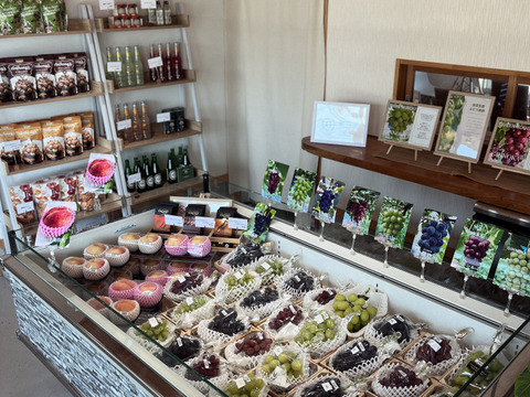 【特売】【洋梨】マルゲリットマリーラ　5㎏箱　約7〜18玉