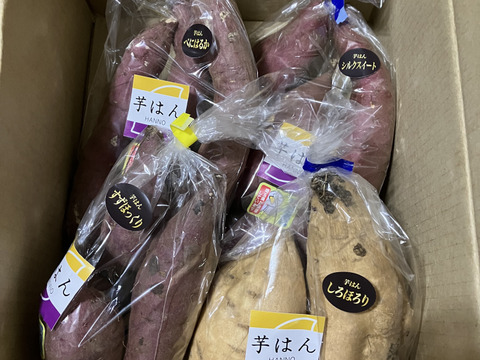 さつまいも４種おまかせ食べ比べセット2.1kg