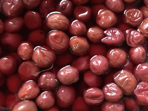 【福袋】無添加　紀州南高梅干し、小梅、梅肉セット＋おまけ付き