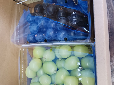 お買い得⭐︎シャインマスカットと黒ぶどう☆のセットを粒で約1kg