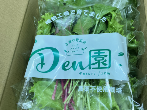 3種のサラダセット：茨城県産のその他レタス｜食べチョク｜産地