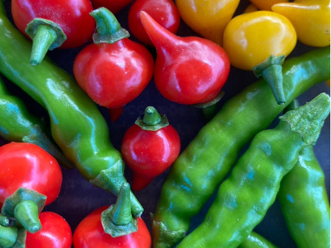 【旬を楽しむ♪】おまかせお野菜セットB（約15品以上）通年お野菜を作り続けるタガタメはいつでも注文可能！！