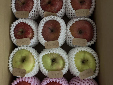 ご自宅で気軽に食べたい方へ「りんごおまかせ便」3キロ【りんご食べ比べ】