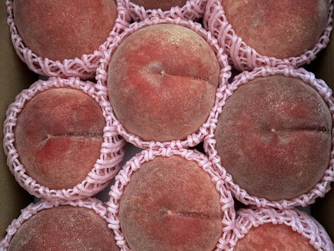 【優品】産地直送！硬めの桃（ご家庭用・3㎏）※品種：さくら【最終10箱限定】