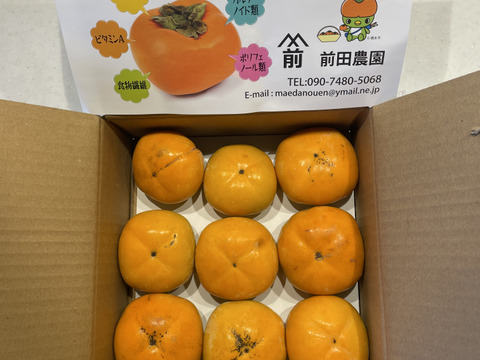 【秋の味覚】和歌山県産　たね無し柿(中谷極早生)　(訳あり)S～Mサイズ8個～12個入り。