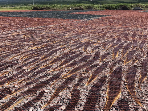 【実質送料無料】贈答・ギフトに1等級利尻昆布3年物使用850mm以上2枚入り