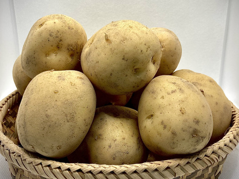 注目の新品種『アイマサリ』3kg