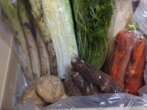 【初回限定BOX】旬の野菜セット７品【農薬・化学肥料不使用】