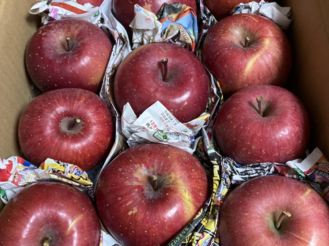 葉とらずサンふじ　3キロ箱（3.2キロぐらい入ります）【安全安心】JA基準より60％減の低農薬栽培