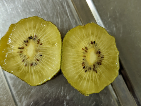 キウイフルーツクリーミ三鷹2.3ｋｇ