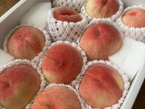 【今が旬！】山梨桃専業農家が暑い夏を届けます!　食べチョク桃　3kg