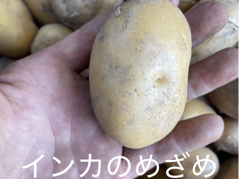 【食べ比べセット】絶品！希少品種込！新じゃがミックス　4種 4kg