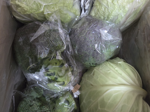 【定期】ニラ好き様😊中山間地域の美味しい野菜と季節のニラ便。その時採れるニラ、その他野菜は採れたて。加工品などを送ります。100サイズ。
