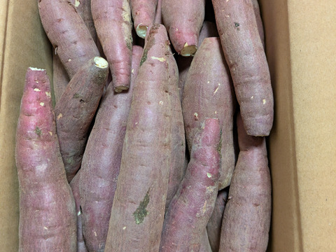 完熟❤べにはるか サイズ２S　（2.5㌔）