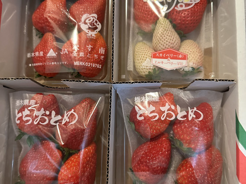 とちぎの完熟いちご３種の食べ比べセット
(とちあいか・スカイベリー・とちおとめ)
【いちご食べ比べ】