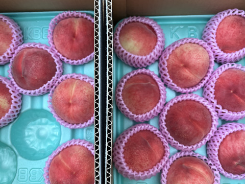 【夏かんろ】甘みが強いジューシーな桃✨7月お届け　朝採りしてその日に発送致します