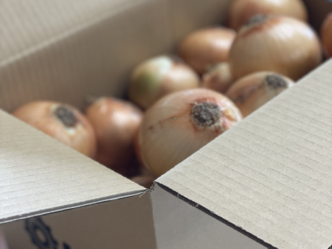 淡路島産玉ねぎ 〚スイートオニオン』5kg