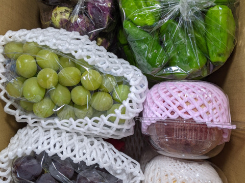 シシトウ、丸ナス、ピーマン、完熟ピーマン、桃、ブドウ