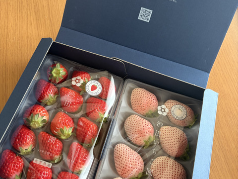 【紅白いちごセット】最高鮮度でお届け！ 希少な完熟パールホワイト&さがほのか　紅白いちご食べ比べセット(2パック/500g)ギフト/贈答/家庭用