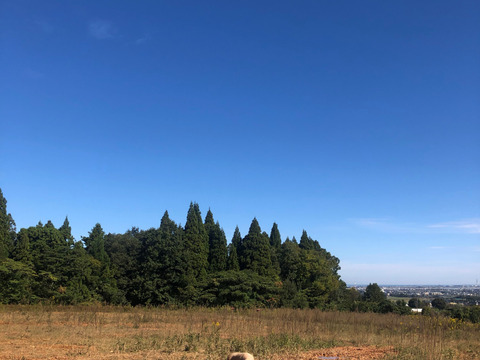 【冬ギフト】悠牧豚ドバーっと肉汁『飲むフランク』＆プレミアム生ハム