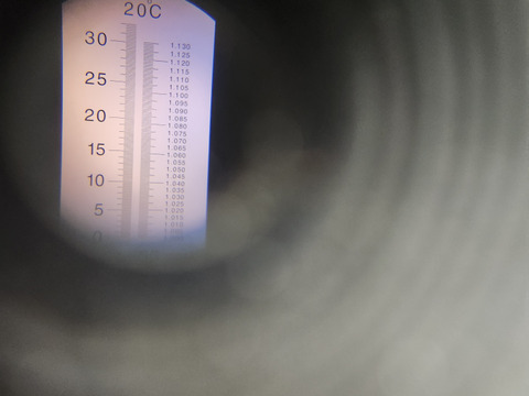 【冬ギフト】【お歳暮、お年賀、家族団らんにも】(指定日無し)【ななか】400g2パック  高級ホテルザ・リッツ・カールトン東京で使用いちご糖度40度くらいを4度計測しました
