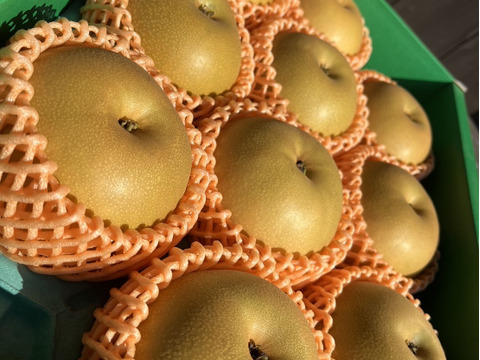 期間限定 秋の味覚　佐賀県産☆秋月梨　二代目川添果樹園の一品