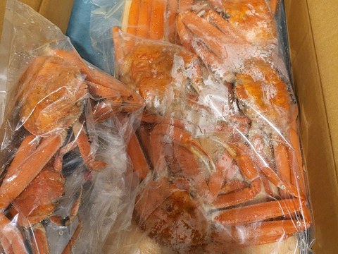 たまらない旨さ✨本ズワイガニ~人気でお得な浜茹で1.5Kgセット~