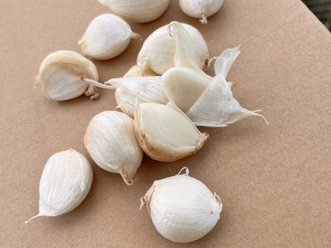 2025年産　ホワイトにんにく　バラ売り　500g