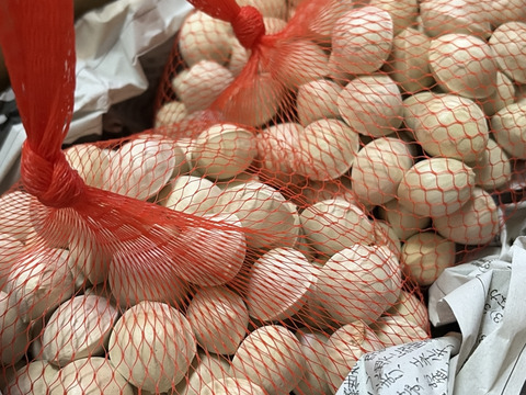 2025年 茨城県産  銀杏：久寿　銀杏  １Kg