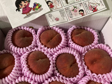 桃　おまかせ　小玉　ちびっ子　訳あり　1.8kg自家用　(10～16玉入り)　キズ有りの場合　6～12玉　商品番号　kodama