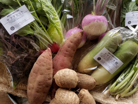朝どり新鮮♪季節のお野菜セット(7-8品目)