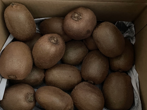 農薬・化学肥料・除草剤不使用　愛媛県産キウイフルーツ（ヘイワード）2kg(20個前後)（ご家庭用）