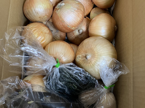 大好評，地層が違う淡路島、大玉、新玉ねぎ、七宝早生(風袋込み5キロ)