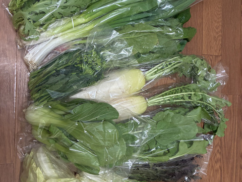 旬の露地野菜セット(9～10品)